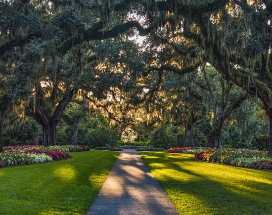 Brookgreen Gardens in Myrtle Beach, South Carolina, SC, USA